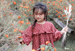 Váy hoa đỏ bèo ngực