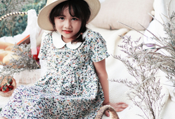 Váy họa tiết quả phối cổ trắng
