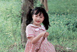 Váy  hoa hồng cổ nơ trắng