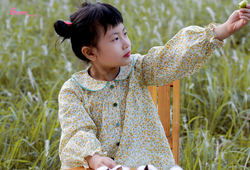 Set mặc nhà hoa nhí cổ sen (có 3 màu)