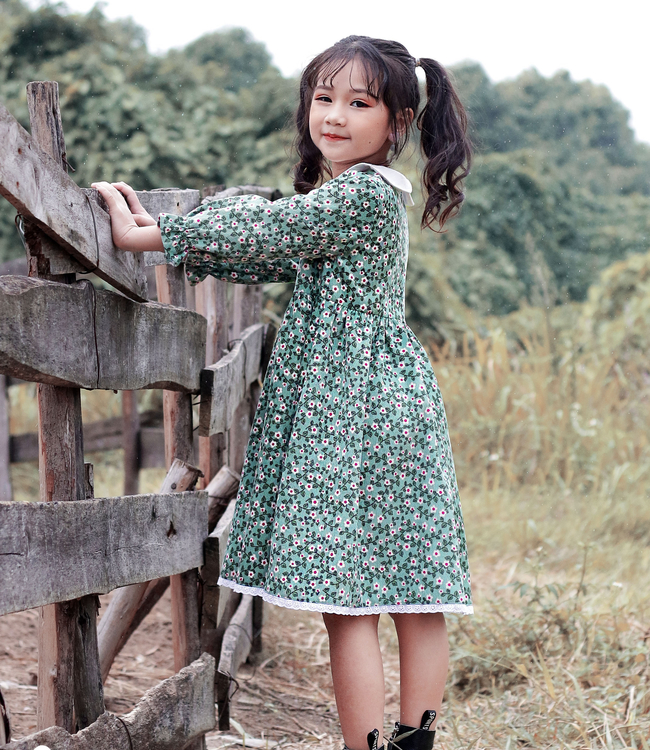 Váy hoa xanh cổ trắng