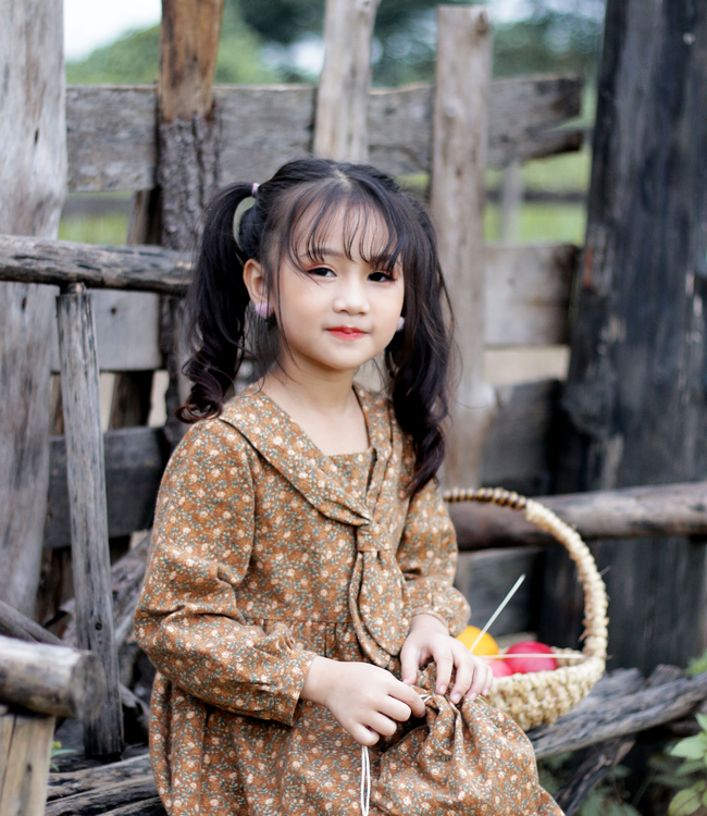 Váy hoa nâu cổ nơ