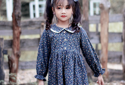Váy hoa nhí tím than phối cổ ren