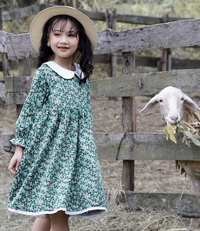 Váy hoa xanh cổ trắng