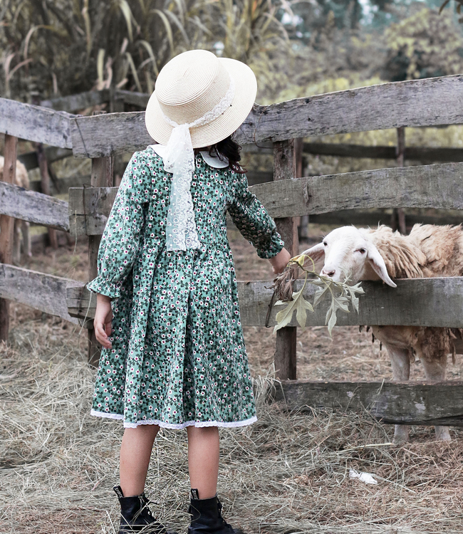 Váy hoa xanh cổ trắng